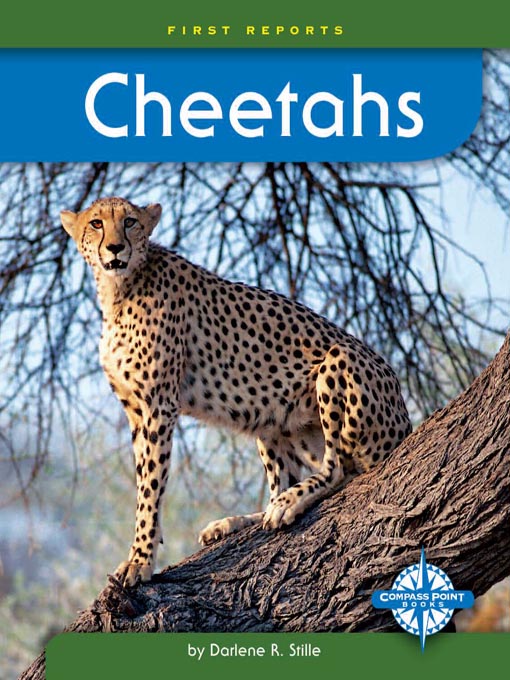 Title details for Cheetahs by Darlene R. Stille - Wait list